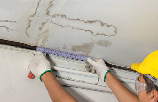 Reliable Structural Drying contractor in Marine City, MI by Water Damage Irwin